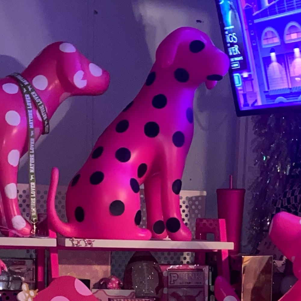 Victoria’s Secret PINK display